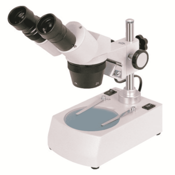 Microscopio estereo