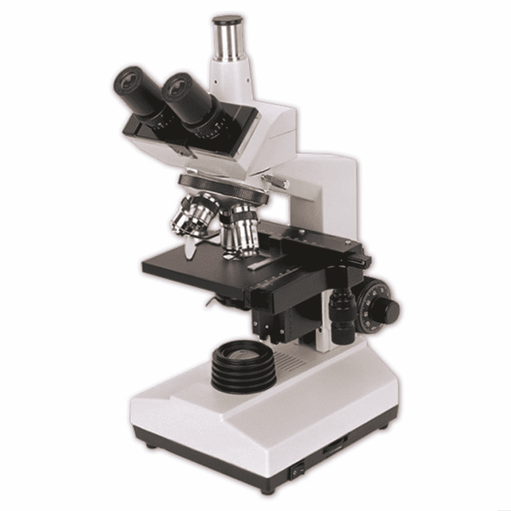Microscopio BS-2030T