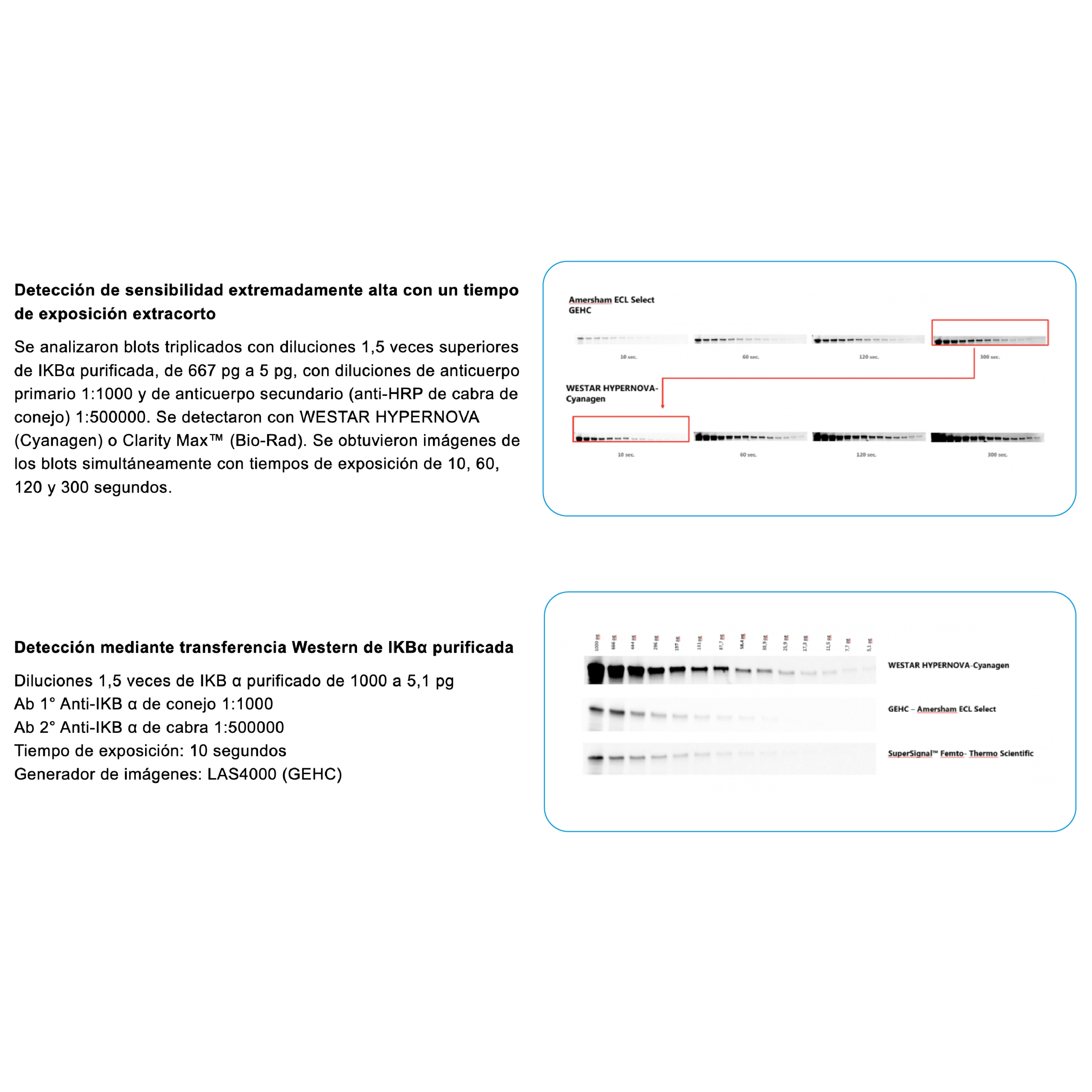 graficas-04