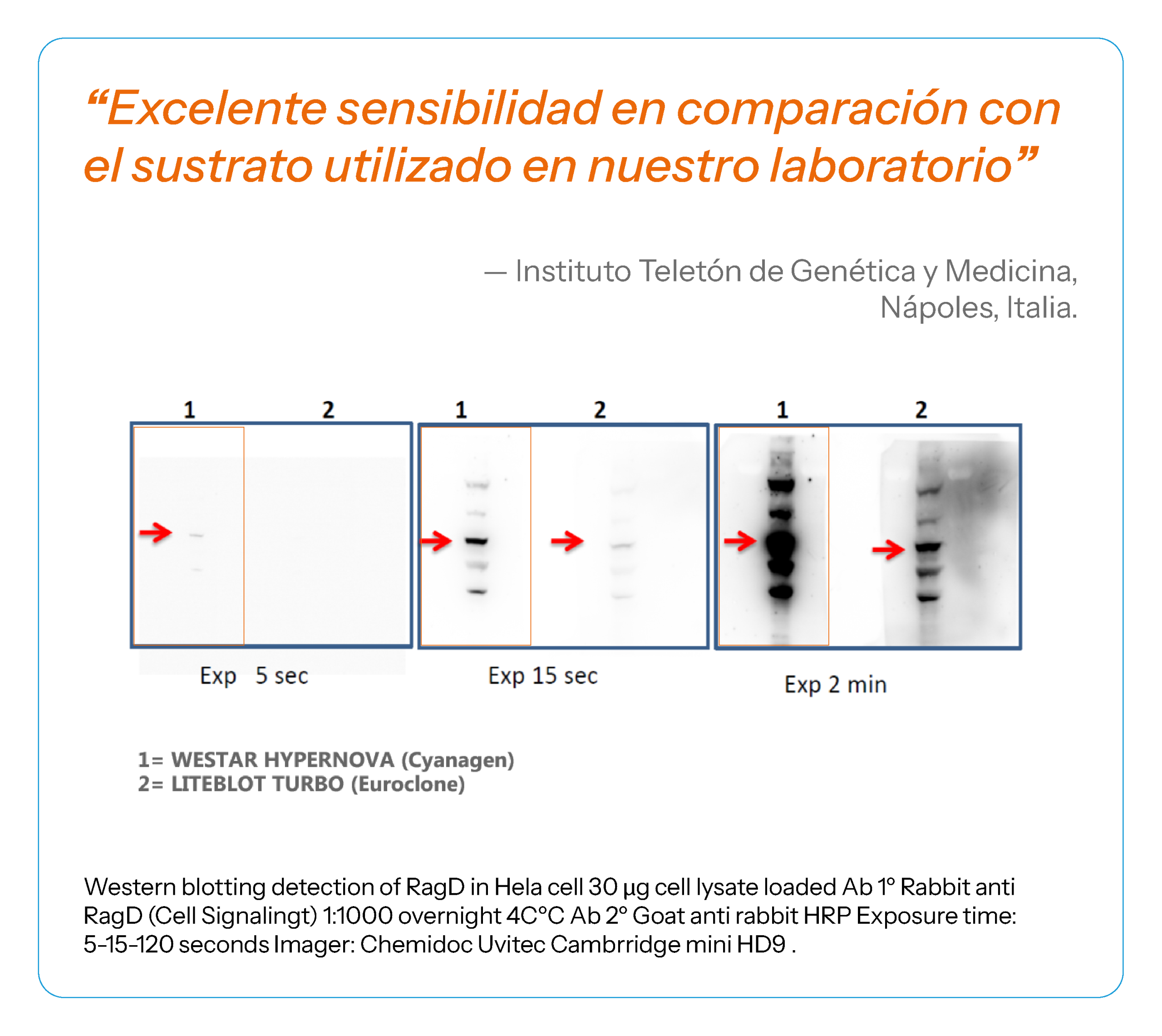 reseñas-04