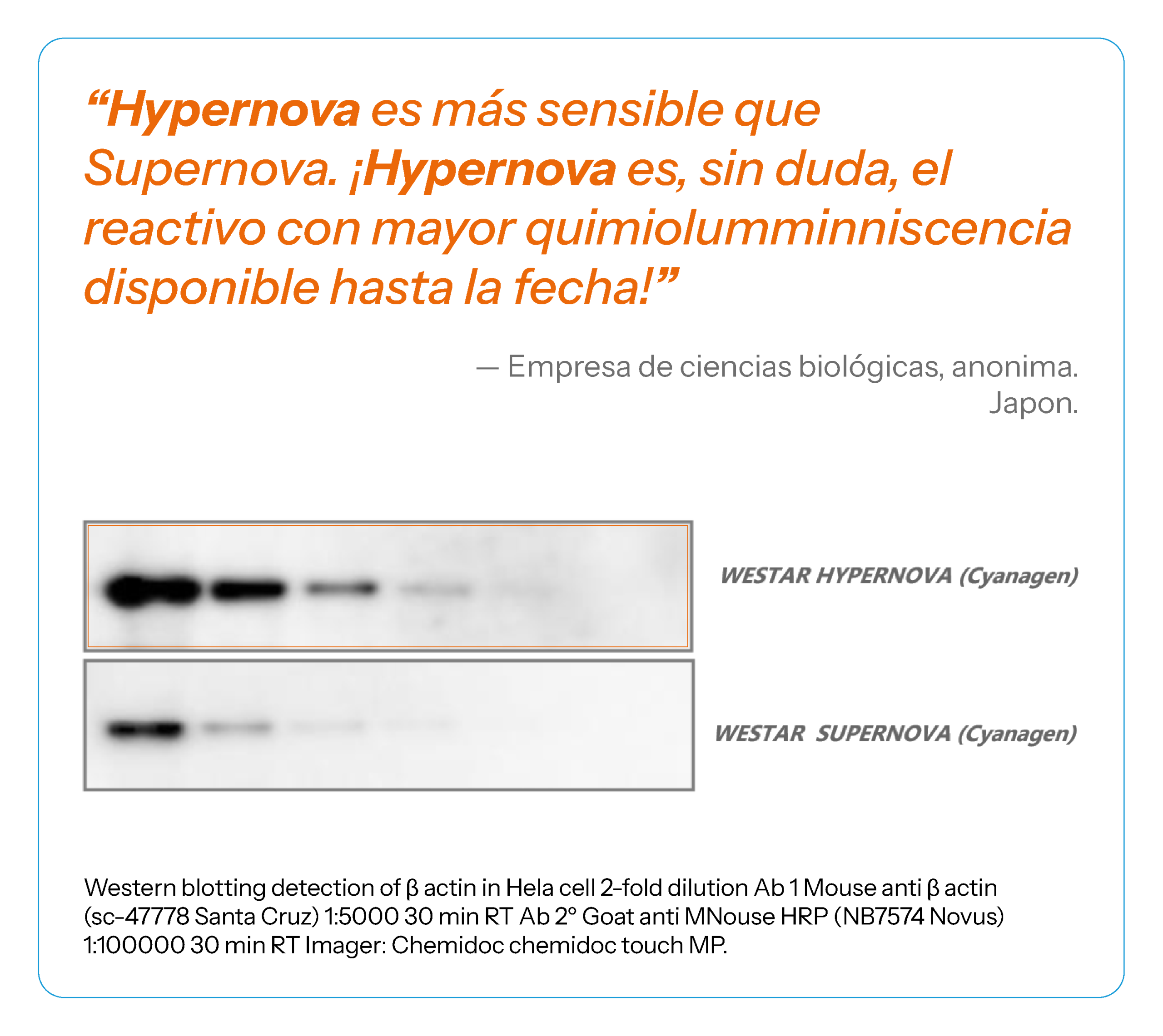 reseñas-06